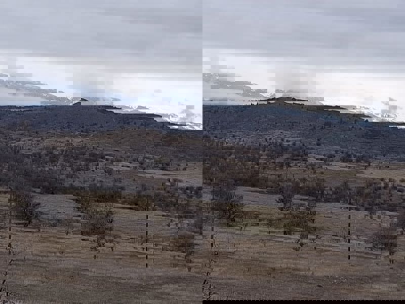 ÇANKIRI ILGAZ'DA 6.871 M2 SATILIK TARLA